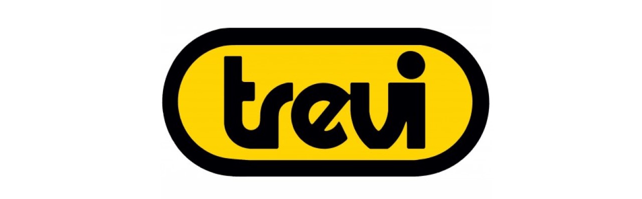 TREVI TREVI